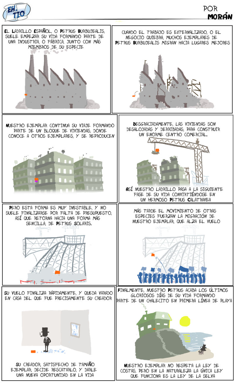 Las vidas son ladrillos que van a parar en el mar, que es el morir de la ley de costas