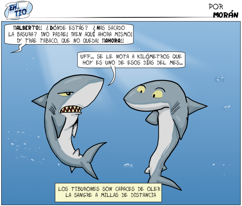 Y en breves, Holywood hará Sharknado 2: PMS season.